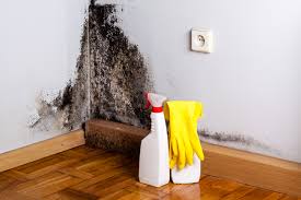 Best Water Damage & Mold Remediation  in Wagener, SC